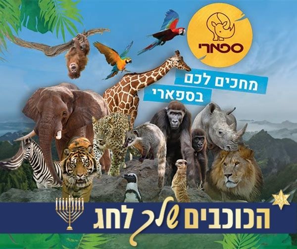 ספארי - כרטיס כניסה