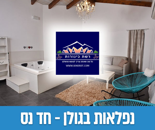 שוברים כספיים כולל כפל מבצעים והנחות!