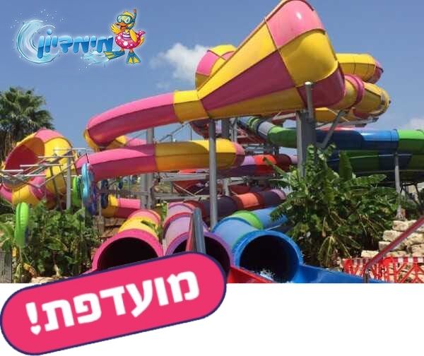 מימדיון מימדיון