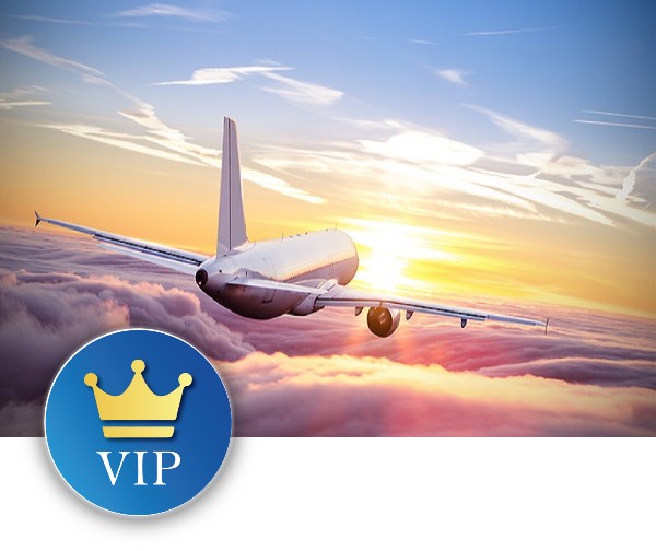 נתב"ג VIP - ליווי עד הטיסה עד ל-6 אנשים נתב"ג VIP - ליווי עד הטיסה עד ל-6 אנשים