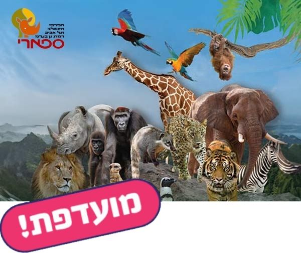 ספארי ספארי