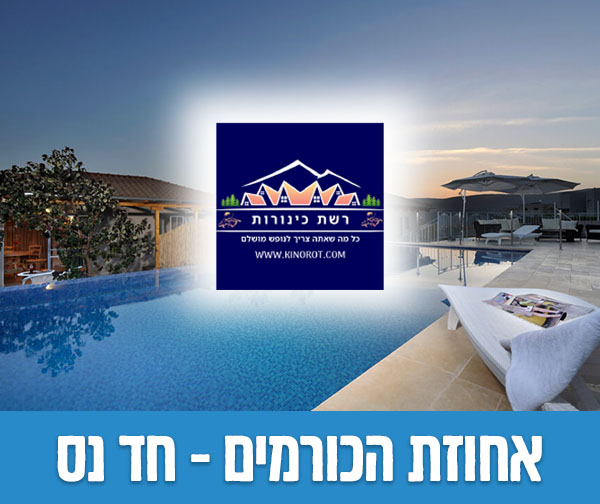 שוברים כספיים כולל כפל מבצעים והנחות!