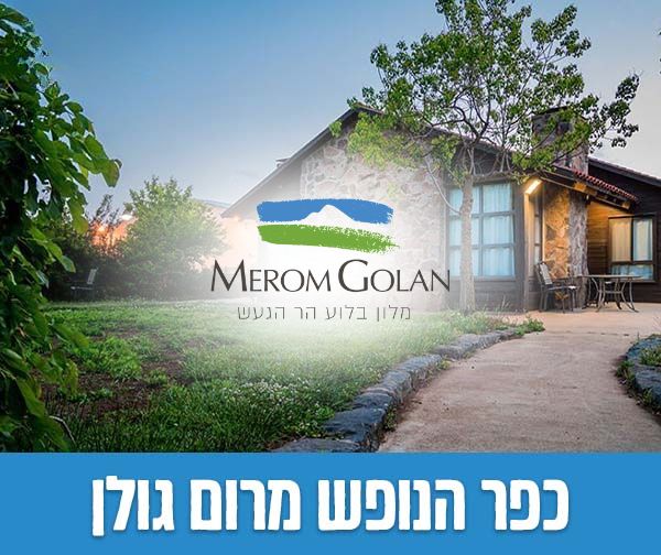 שוברים כספיים כולל כפל מבצעים והנחות!