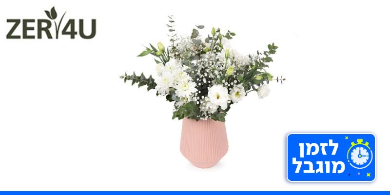 ZER4U  - זר לשישי
