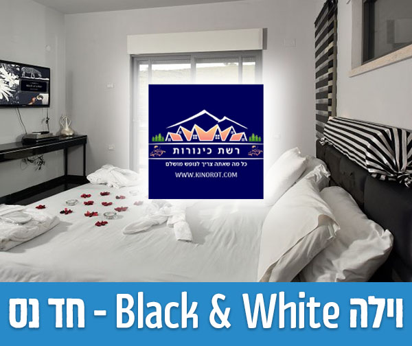 שוברים כספיים כולל כפל מבצעים והנחות! שוברים כספיים כולל כפל מבצעים והנחות!