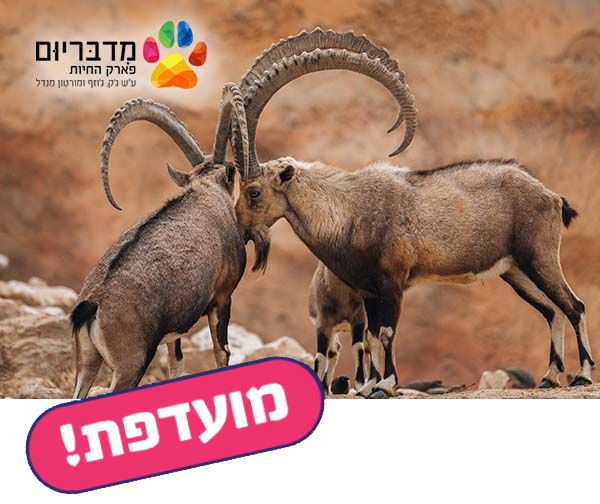 מדבריום - פארק החיות