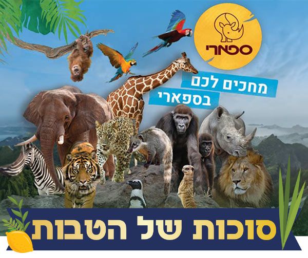 ספארי - כרטיס כניסה