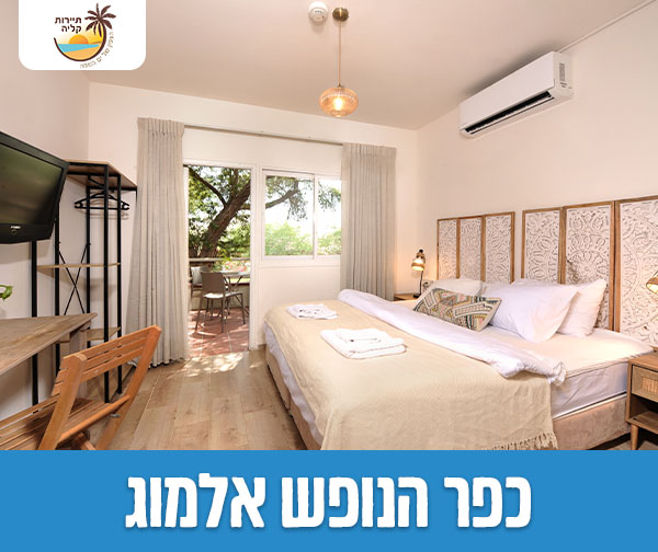 לילה זוגי / משפחתי