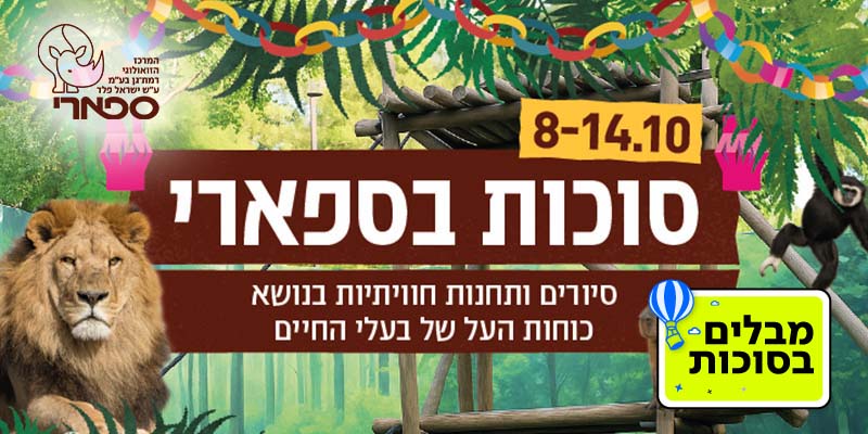 ספארי
