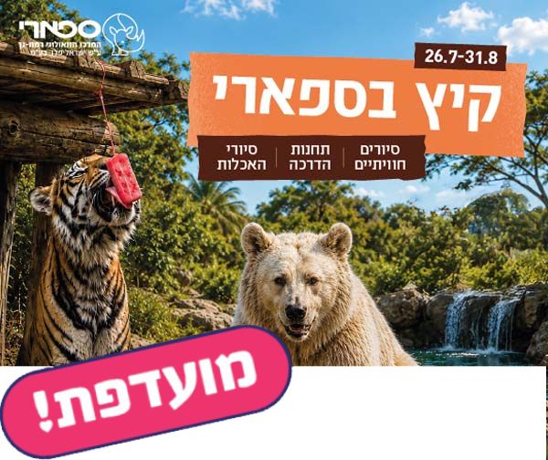 ספארי