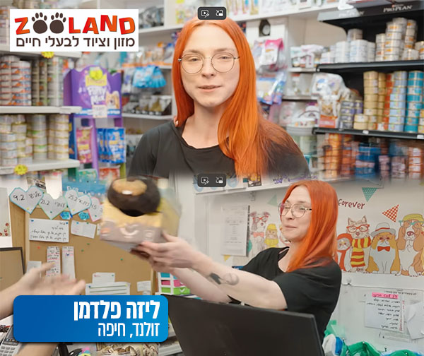 מחזקים את העסקים בצפון - זולנד מחזקים את העסקים בצפון - זולנד