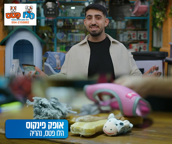 מחזקים את העסקים בצפון - הלו פטס