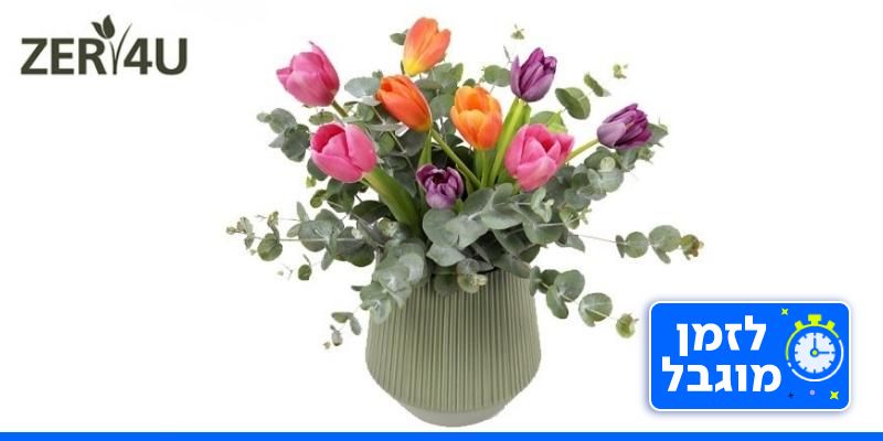 ZER4U - זר טוליפים לסופ"ש