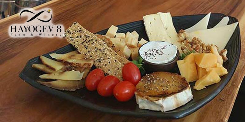 סיורי טעימות זוגיים - יקב היוגב 8