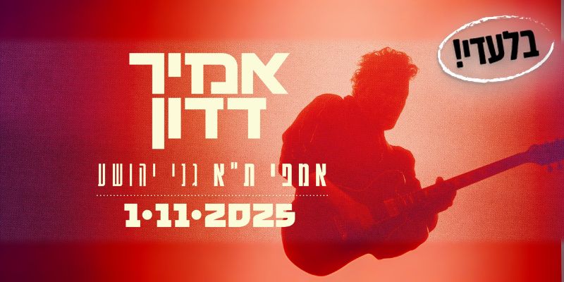 אמיר דדון