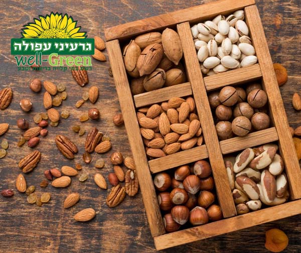 תו קנייה בשווי 100 ₪ לרשת חנויות גרעיני עפולה Well-Green