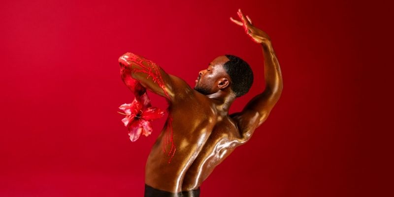 שחר בנימיני BOLRO X