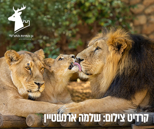 גן החיות התנ"כי
