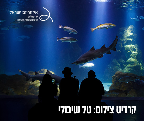 שלך טוב