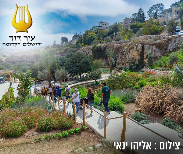עיר דוד