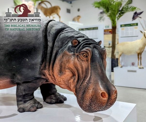 מוזיאון הטבע התנ"כי