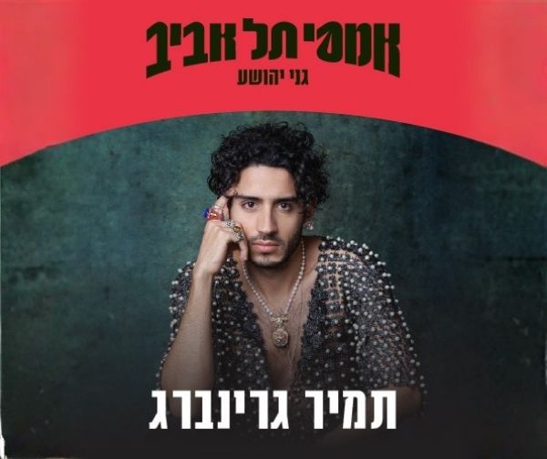 תמיר גרינברג תמיר גרינברג
