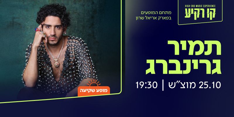 תמיר גרינברג