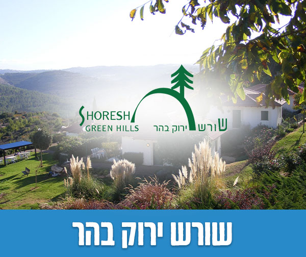 שוברים כספיים כולל כפל מבצעים והנחות!