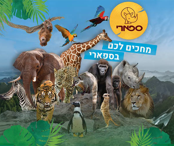 ספארי - כרטיס כניסה