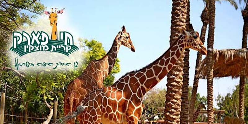 חי פארק קריית מוצקין