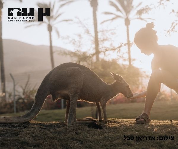 גן גורו
