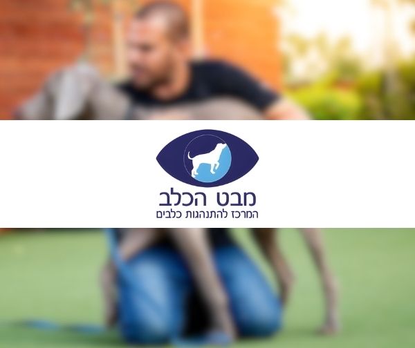תווי קנייה למרכז להתנהגות כלבים "מבט הכלב"