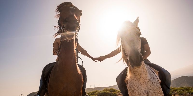 רוכבים בגליל - רכיבה על סוסים