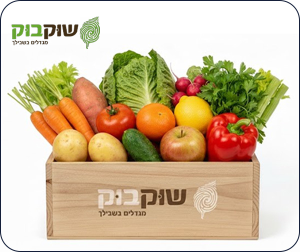 מארז שוקבוק משפחתי בינוני