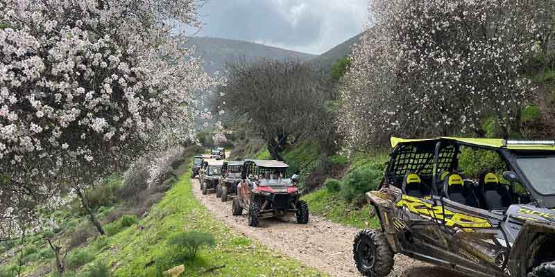 טרקטורוני דישון