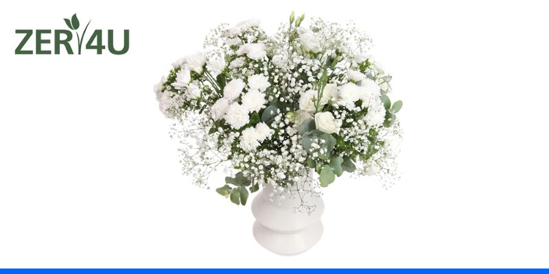 ZER4U - זר הילה לשנה החדשה
