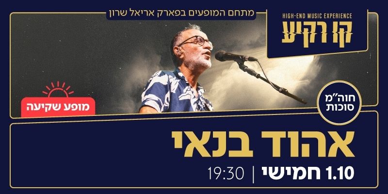 אהוד בנאי