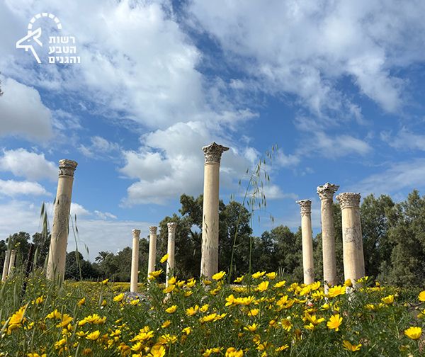 מנוי מטמון - רשות הטבע והגנים