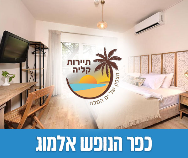 שוברים כספיים כולל כפל מבצעים והנחות!